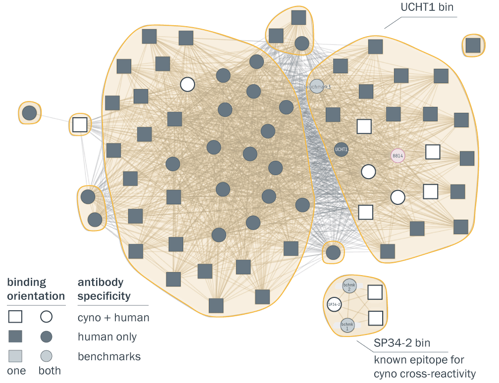 High-throughput SPR-based epitope binning of CD3-binding antibodies reveals multiple epitope bins.
